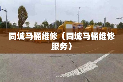 同城马桶维修（同城马桶维修服务）