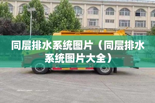 同层排水系统图片（同层排水系统图片大全）