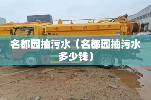 名都园抽污水（名都园抽污水多少钱）