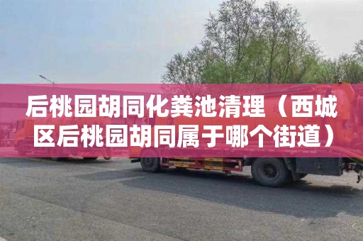 后桃园胡同化粪池清理（西城区后桃园胡同属于哪个街道）