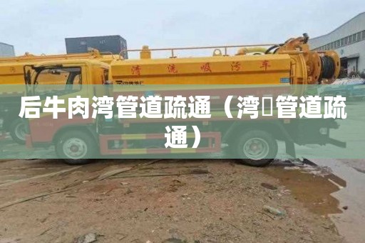 后牛肉湾管道疏通（湾沚管道疏通）