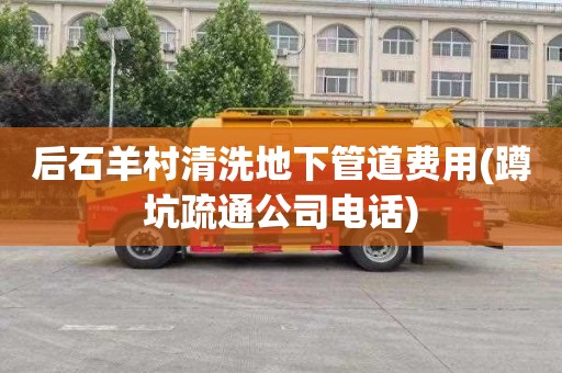 后石羊村清洗地下管道费用(蹲坑疏通公司电话)