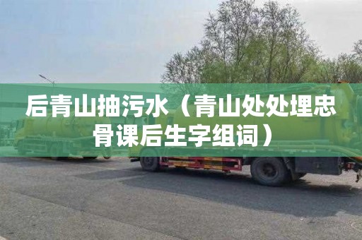 后青山抽污水（青山处处埋忠骨课后生字组词）