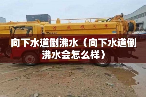 向下水道倒沸水（向下水道倒沸水会怎么样）