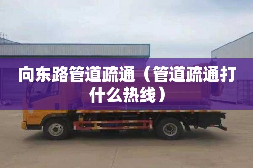 向东路管道疏通（管道疏通打什么热线）