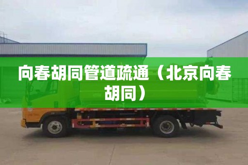 向春胡同管道疏通（北京向春胡同）
