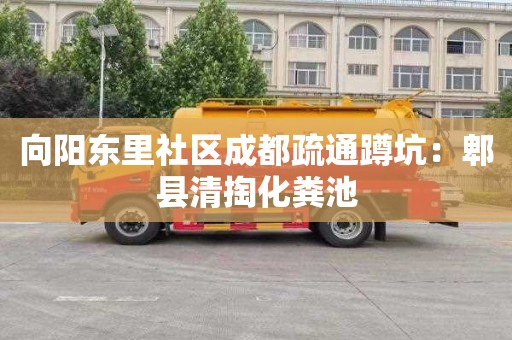 向阳东里社区成都疏通蹲坑：郫县清掏化粪池