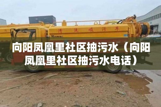 向阳凤凰里社区抽污水（向阳凤凰里社区抽污水电话）