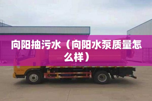 向阳抽污水（向阳水泵质量怎么样）