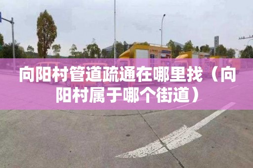 向阳村管道疏通在哪里找（向阳村属于哪个街道）