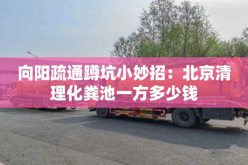 向阳疏通蹲坑小妙招：北京清理化粪池一方多少钱