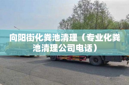 向阳街化粪池清理（专业化粪池清理公司电话）