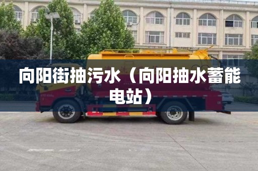 向阳街抽污水（向阳抽水蓄能电站）