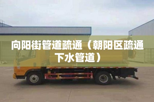 向阳街管道疏通（朝阳区疏通下水管道）