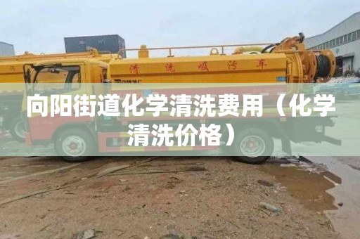 向阳街道化学清洗费用（化学清洗价格）