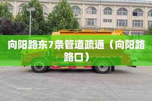 向阳路东7条管道疏通（向阳路路口）