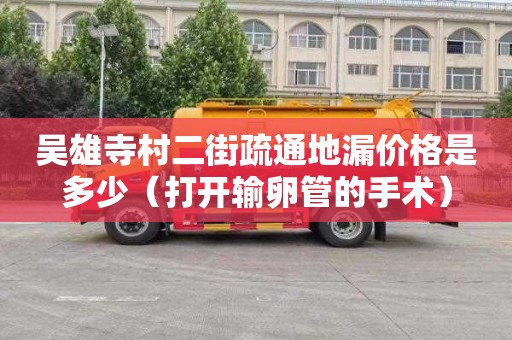 吴雄寺村二街疏通地漏价格是多少（打开输卵管的手术）