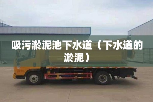 吸污淤泥池下水道（下水道的淤泥）