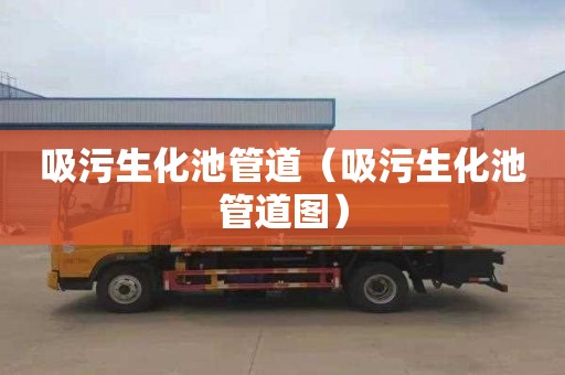 吸污生化池管道（吸污生化池管道图）