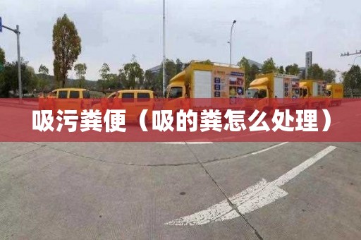 吸污粪便（吸的粪怎么处理）