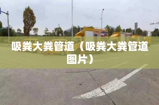 吸粪大粪管道（吸粪大粪管道图片）
