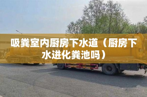 吸粪室内厨房下水道（厨房下水进化粪池吗）