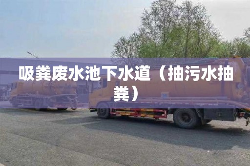 吸粪废水池下水道（抽污水抽粪）