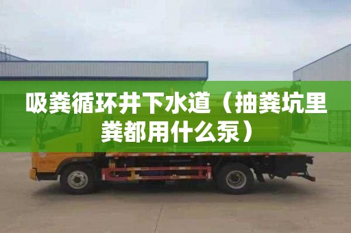 吸粪循环井下水道（抽粪坑里粪都用什么泵）