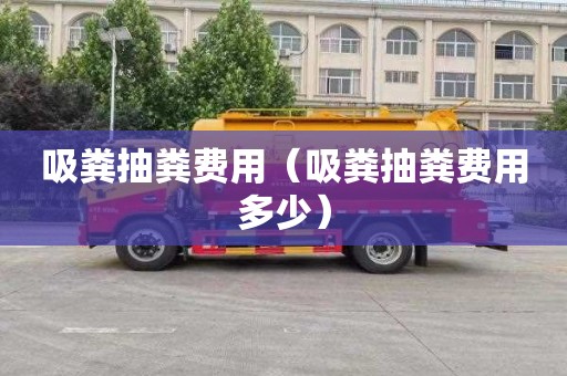 吸粪抽粪费用（吸粪抽粪费用多少）