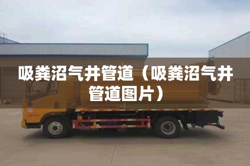 吸粪沼气井管道（吸粪沼气井管道图片）