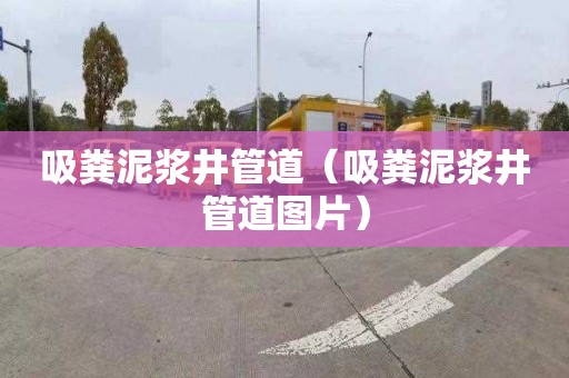 吸粪泥浆井管道（吸粪泥浆井管道图片）