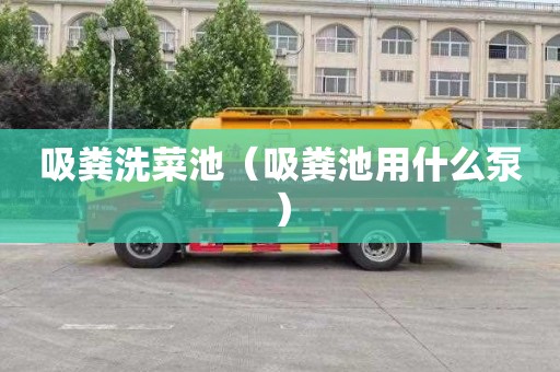 吸粪洗菜池（吸粪池用什么泵）