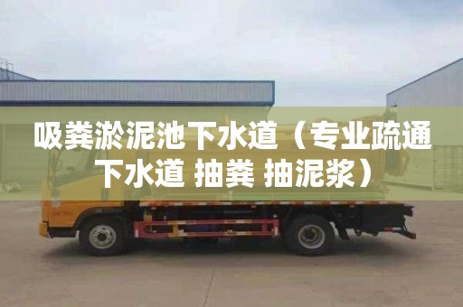 吸粪淤泥池下水道（专业疏通下水道 抽粪 抽泥浆）