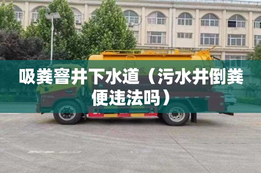吸粪窨井下水道（污水井倒粪便违法吗）
