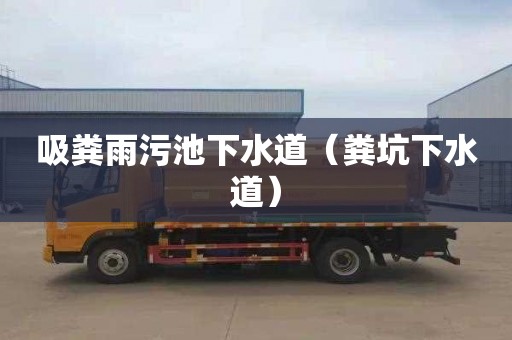吸粪雨污池下水道（粪坑下水道）