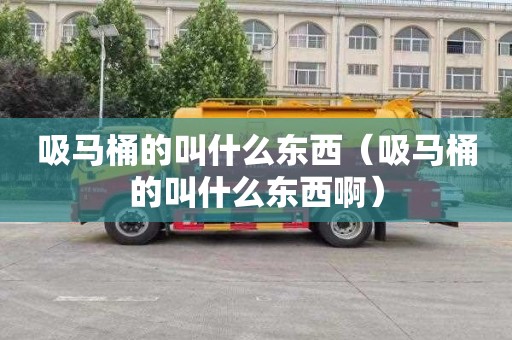 吸马桶的叫什么东西（吸马桶的叫什么东西啊）