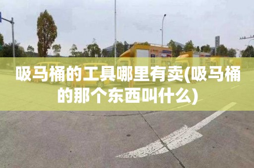 吸马桶的工具哪里有卖(吸马桶的那个东西叫什么)