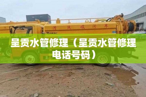 呈贡水管修理（呈贡水管修理电话号码）