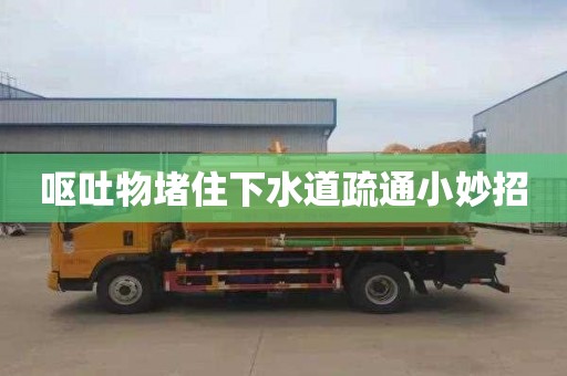 呕吐物堵住下水道疏通小妙招