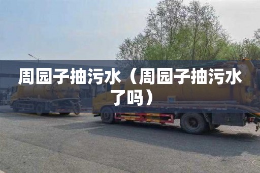 周园子抽污水（周园子抽污水了吗）