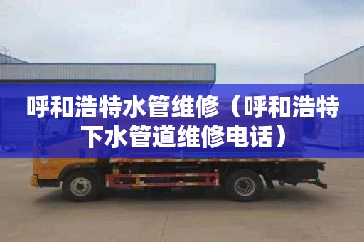 呼和浩特水管维修（呼和浩特下水管道维修电话）