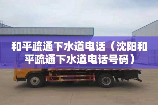 和平疏通下水道电话（沈阳和平疏通下水道电话号码）