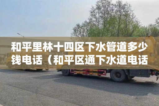 和平里林十四区下水管道多少钱电话（和平区通下水道电话）