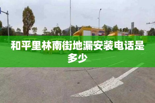和平里林南街地漏安装电话是多少