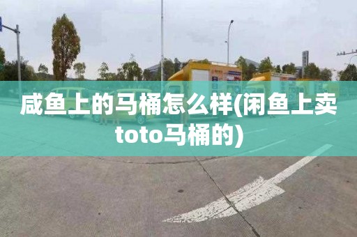 咸鱼上的马桶怎么样(闲鱼上卖toto马桶的)