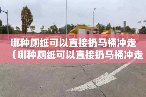 哪种厕纸可以直接扔马桶冲走（哪种厕纸可以直接扔马桶冲走的）