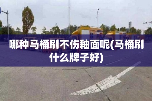 哪种马桶刷不伤釉面呢(马桶刷什么牌子好)