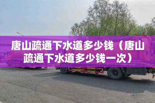 唐山疏通下水道多少钱（唐山疏通下水道多少钱一次）