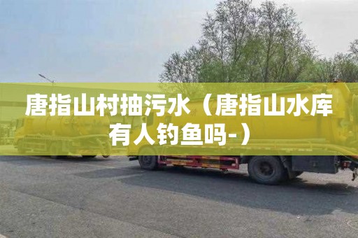 唐指山村抽污水（唐指山水库有人钓鱼吗-）
