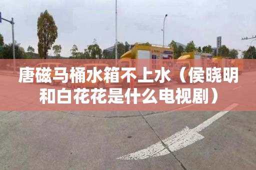 唐磁马桶水箱不上水（侯晓明和白花花是什么电视剧）